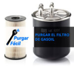 purgar-el-filtro-de-gasoil-purgarfacil.com