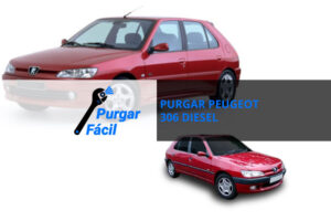 purgar-peugeot-306-diesel-purgarfacil.com